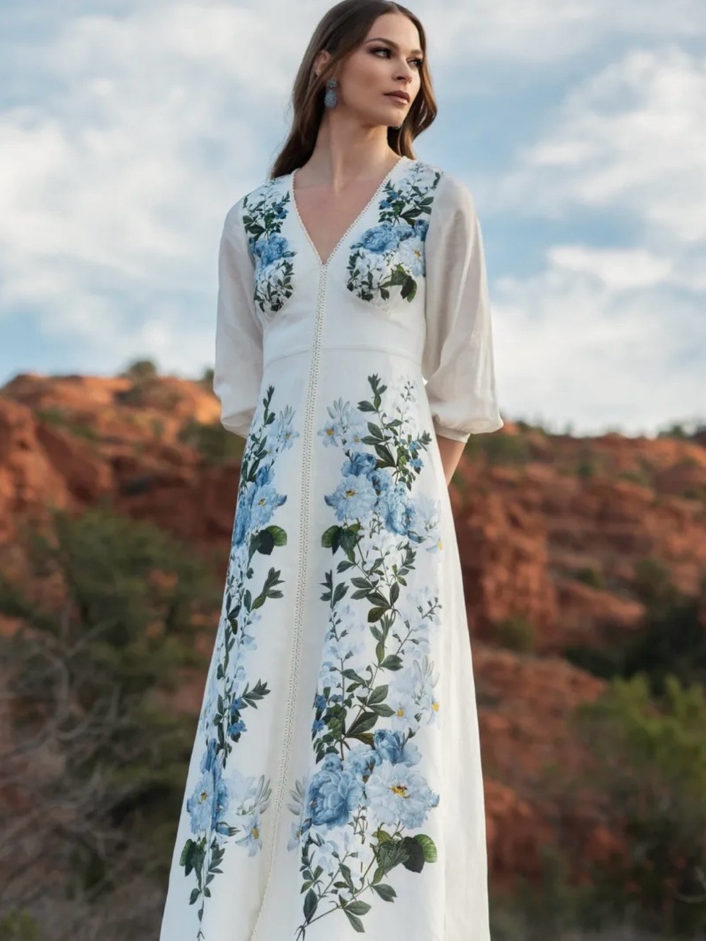 NWT Sachin + Babi Varenna midi Dress size 4